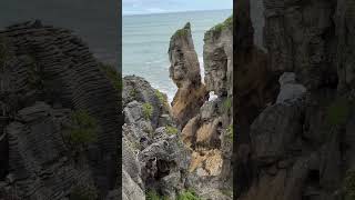 Pancake rocks punakaiki travel newzealandnature newzealand mountains nature newzealandtourism [upl. by Susann]