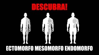 ECTOMORFO MESOMORFO E ENDOMORFO  ENTENDA OS SHAPES DE MAROMBA [upl. by Kaplan198]