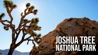 Road Trip to Joshua Tree  Best House Tour  Laureen Uy [upl. by Meekah]