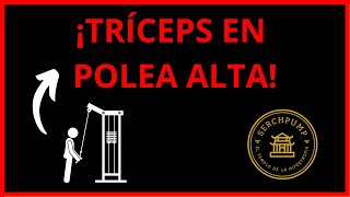 ¿Cómo hacer EXTENSIÓN de TRÍCEPS en POLEA ALTA correctamente ✅ 7 [upl. by Ralph]