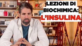 Lezione di biochimica lINSULINA [upl. by Eileen441]