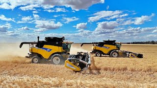 Harvesting With the Two Back Together  Farming in Australia  Harvest 2023  Vlog 223 [upl. by Brey]