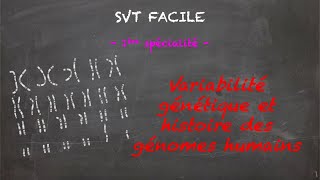 SVT FACILE  1ère spé  Variabilité génétique et histoire des génomes humains [upl. by Mandelbaum]