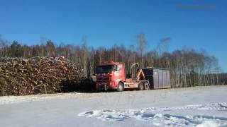 Volvo FH12 ☆ 1h un 40m3 šķelda ☆ Wood chipper [upl. by Lerual]