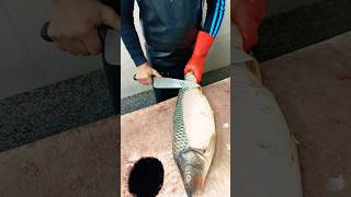 Cleaning the Grass carp fish skin with a knife [upl. by Proctor]