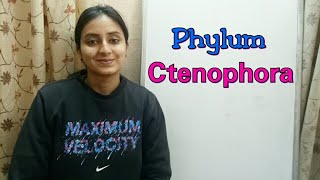 Phylum Ctenophora  Biological classification part 13  Class XI  Lecture 41 [upl. by Yelreveb]