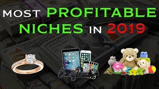 🤑THE MOST PROFITABLE Dropshipping Niches In 2020 [upl. by Iroak506]