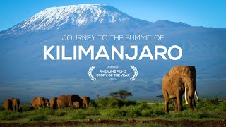 Journey to the Summit of Mount Kilimanjaro [upl. by Mirilla]