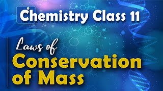 Law of Conservation of Mass  Basic Concepts of Chemistry  Chemistry Class 11 [upl. by Lenahs]