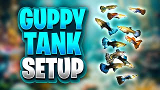 29 Gallon Planted Guppy Tank Setup And Progress Walstad Method Friendly [upl. by Georgeta822]