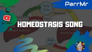 Homeostasis Song [upl. by Katharina]