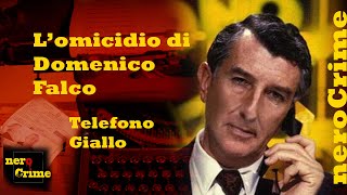 Lomicidio quasi perfetto di Domenico Falco nella puntata di Telefono Giallo [upl. by Rramel]