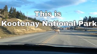 A drive through Kootenay National Park BC CANADA [upl. by Born699]