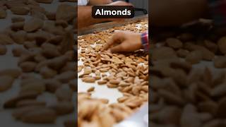 Discover the Surprising Health Benefits of Almonds healthbenefits almondsbenefits shortsvideo [upl. by Tijnar]