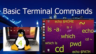 4 Terminal Commands  Linux Ubuntu Tutorial for Beginners [upl. by Ahsatel]