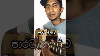 Parata Kittuwa  පාරට කිට්ටුව  Guitar Lesson amp Tabs sahomusicstudio [upl. by Kcirrej923]