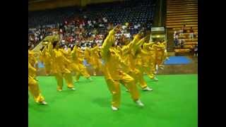 Dong Yue performance at Senayan Jakarta [upl. by Atinnek]