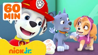 PAW Patrol Friendship Adventures amp Rescues w Marshall and Skye  1 Hour Compilation  Nick Jr [upl. by Linda]