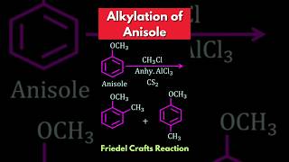 Alkylation of Anisole  Friedel Crafts Alkylation shorts [upl. by Ortiz]