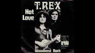 T Rex  Hot Love DJ Gonzalvez Bernard Extended [upl. by Bodrogi]