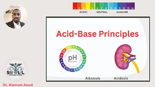 Lecture 2  AcidBase Principles شرح بالعربي بطريقة سهله ومبسطة acidbasedisorders [upl. by Hannahoj]