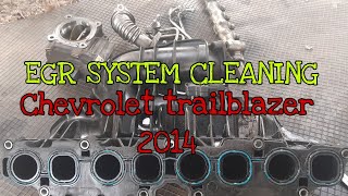 🛑EGR system cleaning Chevrolet trailblazer 2014 Garahe ni paps Auto ServicesAncel x7 diagnostic [upl. by Lani]