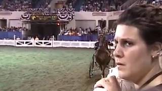 2003 Hackney Pony World Grand Championship [upl. by Silva]