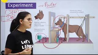 Pavlovs Classical Conditioning Theoryबाल विकास।। Explained by himanshi singh [upl. by Kimberley]