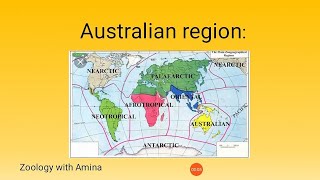 Australian region  Zoological characteristics and physical features of Australian region [upl. by Cimbura]