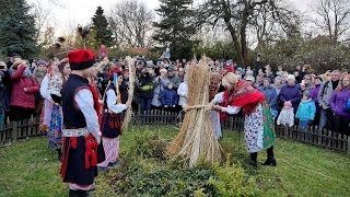 Osadzanie Chochoła w Dworku Rydlówka  Wesele Stanisława Wyspiańskiego  Kapela z Bronowic [upl. by Lindo635]