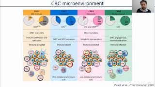 Deep immunophenotyping of cancer microenvironments by Imaging Mass Cytometry™ [upl. by Nolyag]