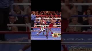 Mayweather vs Dela Hoya Split Decision [upl. by Daggett533]