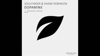 Soulfinder amp Shane Robinson  Dopamine Forerunners Remix [upl. by Khichabia]