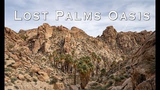 Joshua Tree National Park Top 10 Things to Do 2024 [upl. by Ttihw]