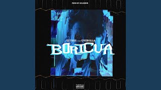 Boricua feat Gverilla [upl. by Earehs]