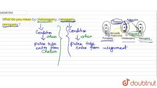 What do you mean by chalazogamy mesogamy porogamy [upl. by Ayahs318]