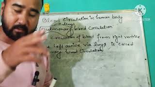 Class 10 Science Blood Circulation in Human Body [upl. by Olpe636]