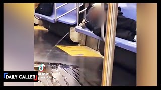 Man Casually Pees On NYC Subway [upl. by Asenev]