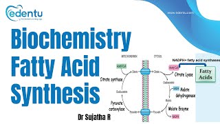 BiochemistryFatty Acid Synthesis  edentu dentistry neetmds2025 [upl. by Thgiled]