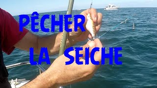 Montages technique et astuces pour la PECHE de la SEICHE ou du CALAMAR  LEGING [upl. by Ahtilat]