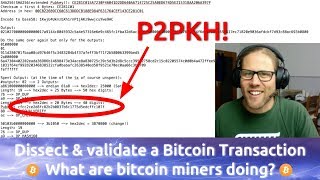 Dissecting a P2PKH Bitcoin Transaction down to the last Byte [upl. by Mont]