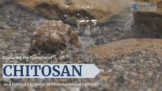 Chitosan as a Pharmaceutical Excipient [upl. by Anoy]