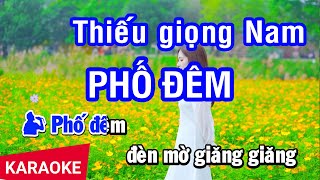 Karaoke Phố Đêm Thiếu Giọng Nam Phối Mới  Song ca cùng Phương Ngọc [upl. by Aknaib]