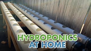 Hydroponics at Home [upl. by Tommie]