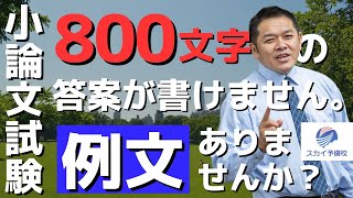 【大学入試小論文】800字で書けません例文はありますか？ [upl. by Akemehs]