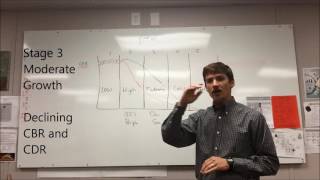 Demographic Transition Model Review [upl. by Aydiv949]