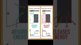 Endothermic and Exothermic Reaction Explained Shiksha Resources shorts jee2025 chemistry [upl. by Corvese]