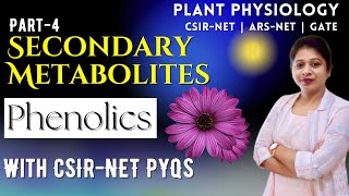 Secondary Metabolites 4  Phenolics Secondary Metabolites  Secondary Metabolites in Plants  PYQs [upl. by Gibbons579]