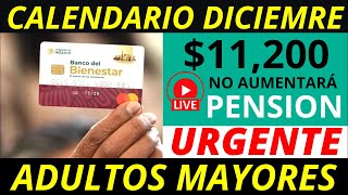 No aumentará la pensión 2025 Y calendario diciembre pago de 11 mil 200 💰✅ [upl. by Onid91]