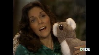 The Carpenters Christmas Song Chestnuts Roasting On An Open Fire with Karen Carpenter 1977 [upl. by Kaz]